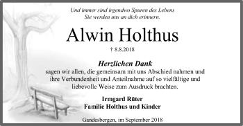 Traueranzeige von Alwin Holthus von SYK