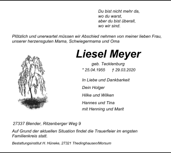 Traueranzeige von Liesel Meyer von SYK