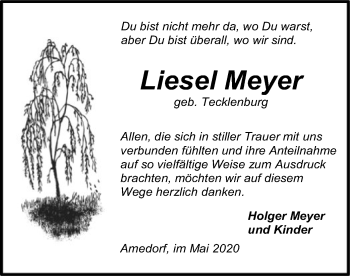 Traueranzeige von Liesel Meyer von SYK