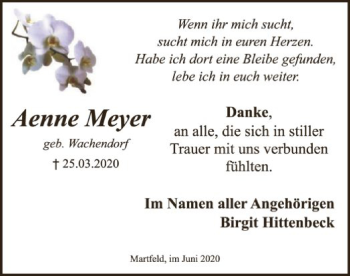 Traueranzeige von Aenne Meyer von SYK