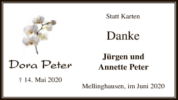 Traueranzeige von Dora Peter von SYK