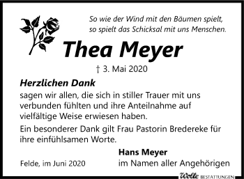 Traueranzeige von Thea Meyer von SYK