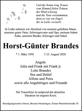 Traueranzeige von Horst-Günter Brandes von SYK