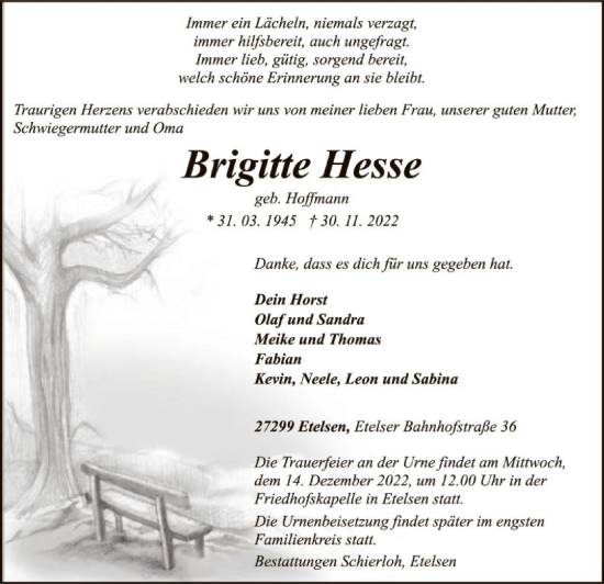 Traueranzeige von Brigitte Hesse von SYK