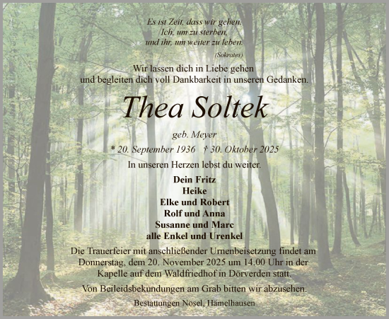 Traueranzeige von Thea Soltek von SYKS
