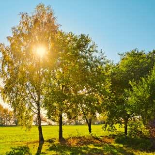 Gedenkbaum-Gruppe von Vicky und Arne mit Freddy für Horst Uwe Schmidt 
