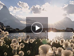 Beispiel Trauervideoanzeige Berge